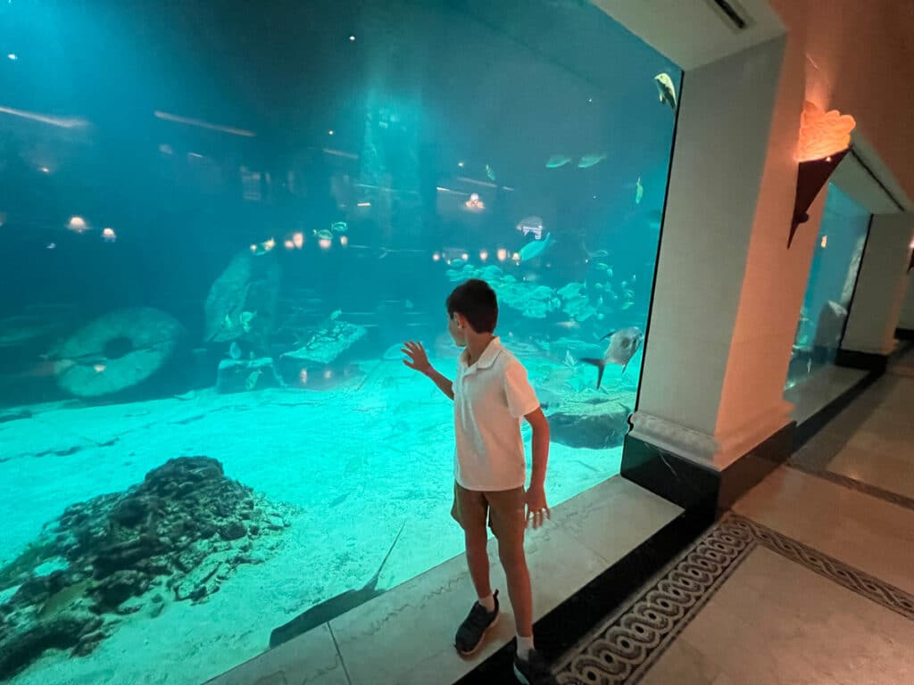 looking into the fish tanks in the Atlantis lobby