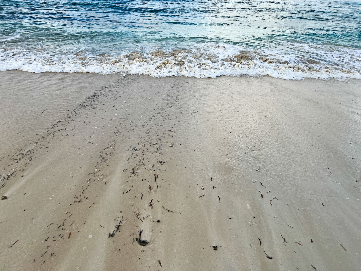 waves crashing on the beach