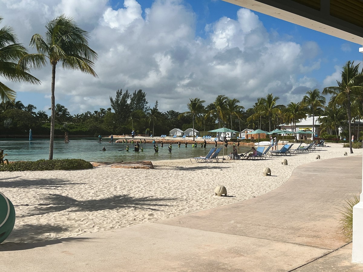 Dolphin Cay at Atlantis Bahamas