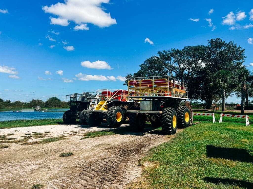 view from the swamp buggy