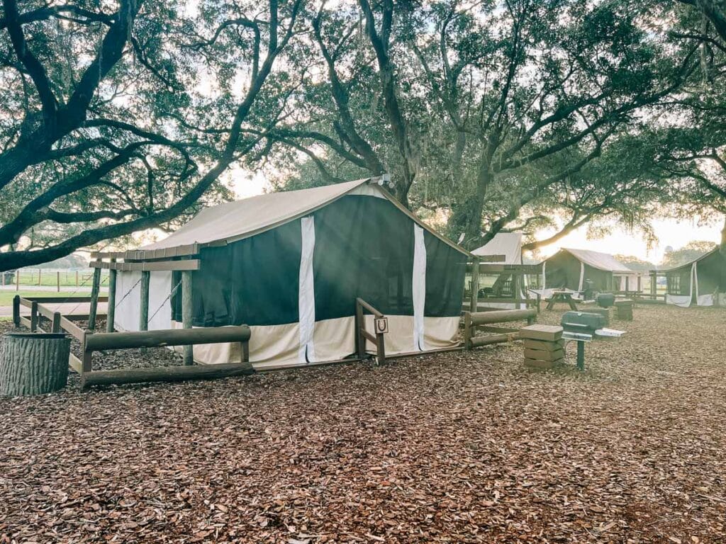 regular glamping tent at Westgate River Ranch