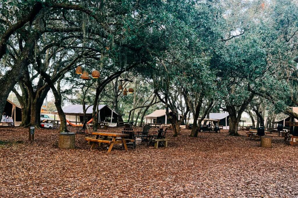 outdoor area for the regular glamping sites at westgate river ranch