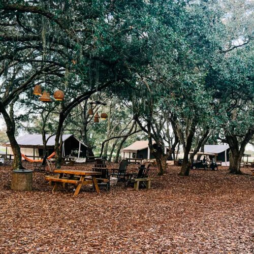 outdoor area for the regular glamping sites at westgate river ranch