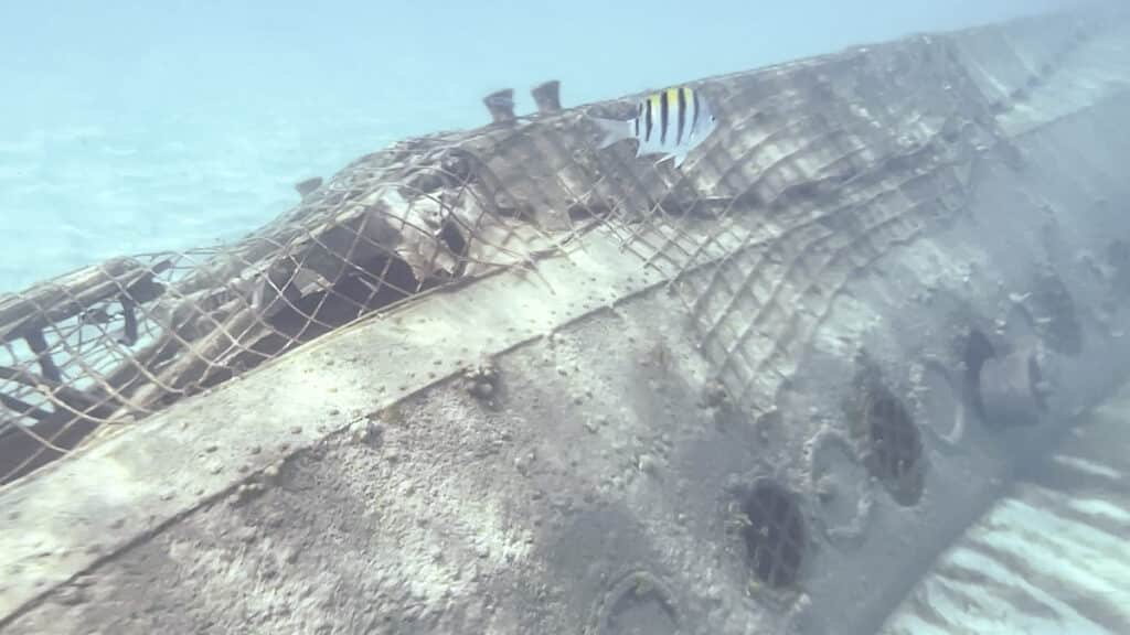 snorkeling at Castaway Cay