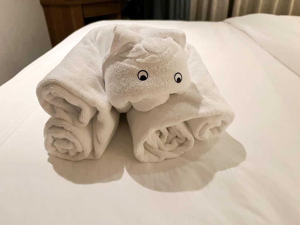 towel animal on our Disney cruise