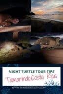 Night Turtle Tour in Tamarindo, Costa Rica