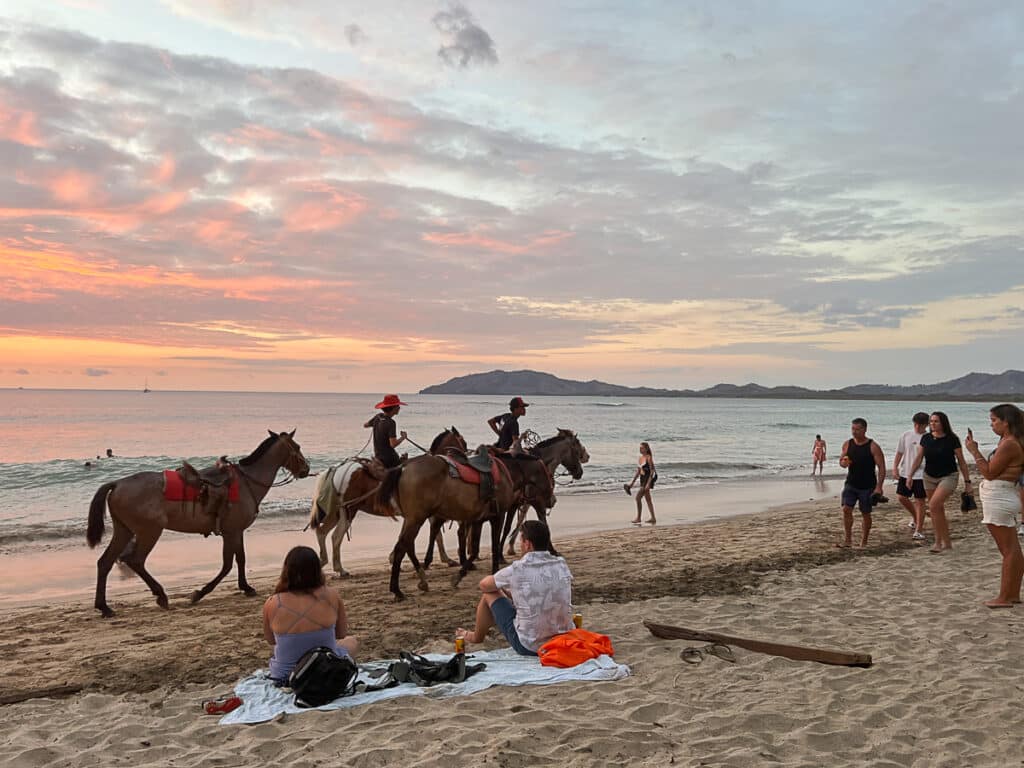 horses on the beach in Tamarindo