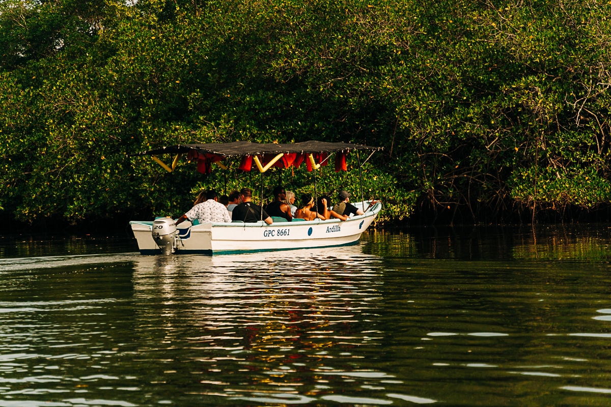 a boat taking a tour group through Tamarindo Estuary