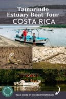 Tamarindo Estuary Tour in Costa Rica