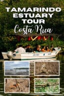 Tamarindo Estuary Tour in Costa Rica