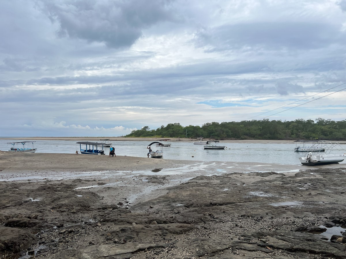 meeting point for tamarindo estuary tour