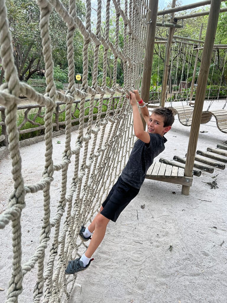 playground at Diamante Eco Adventure Park