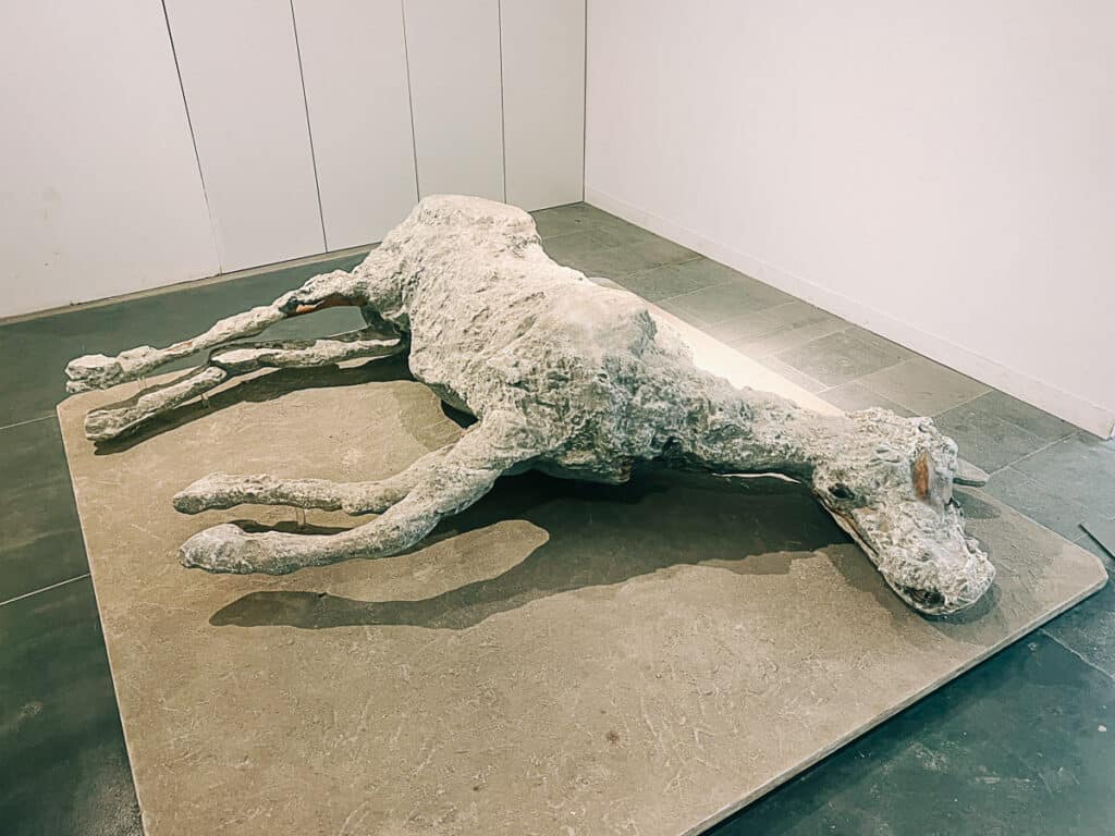 stone horse in pompeii