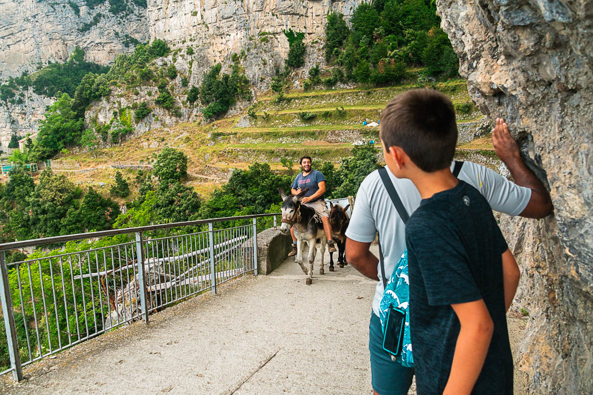 passing a donkey while hiking the path of the gods