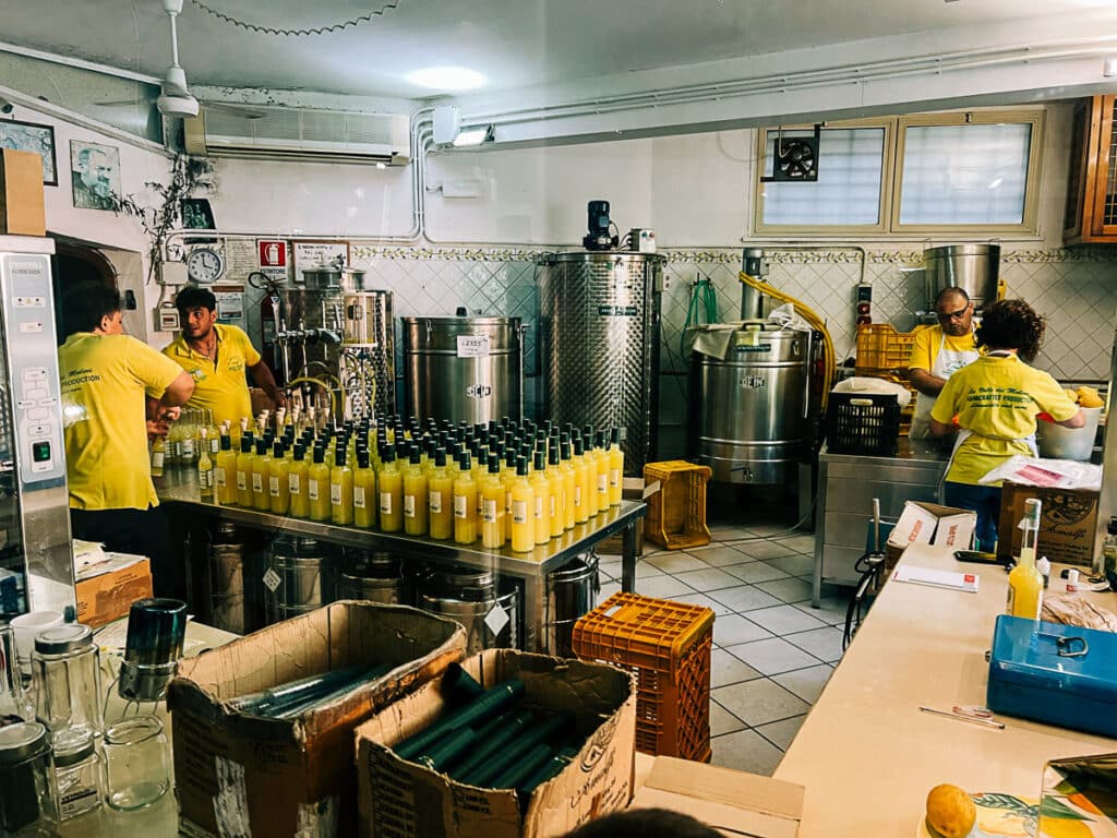 watching the staff bottle limoncello