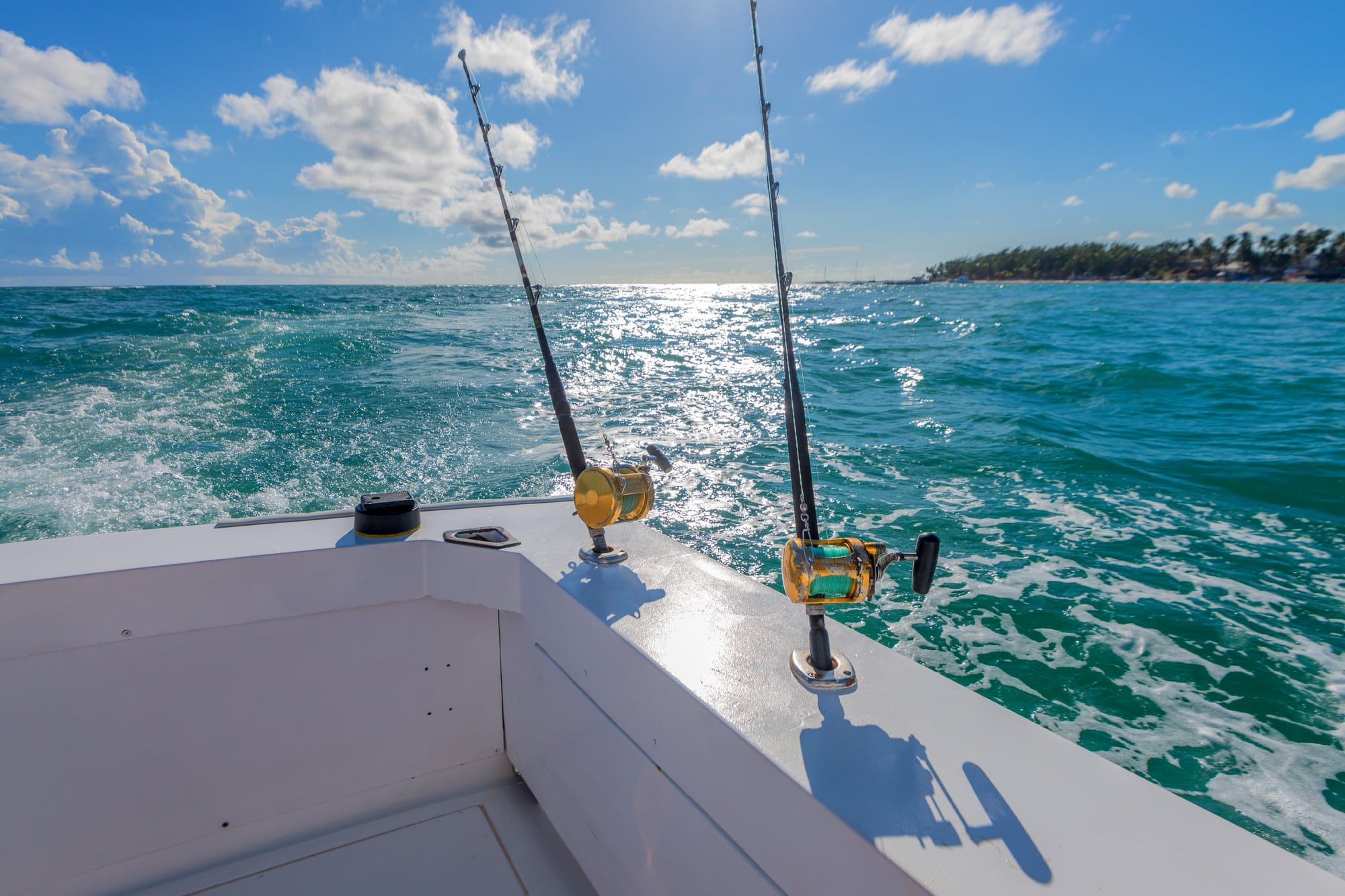 fishing poles on a boat