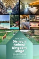 Disney's Animal Kingdom Lodge