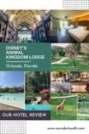Disney's Animal Kingdom Lodge