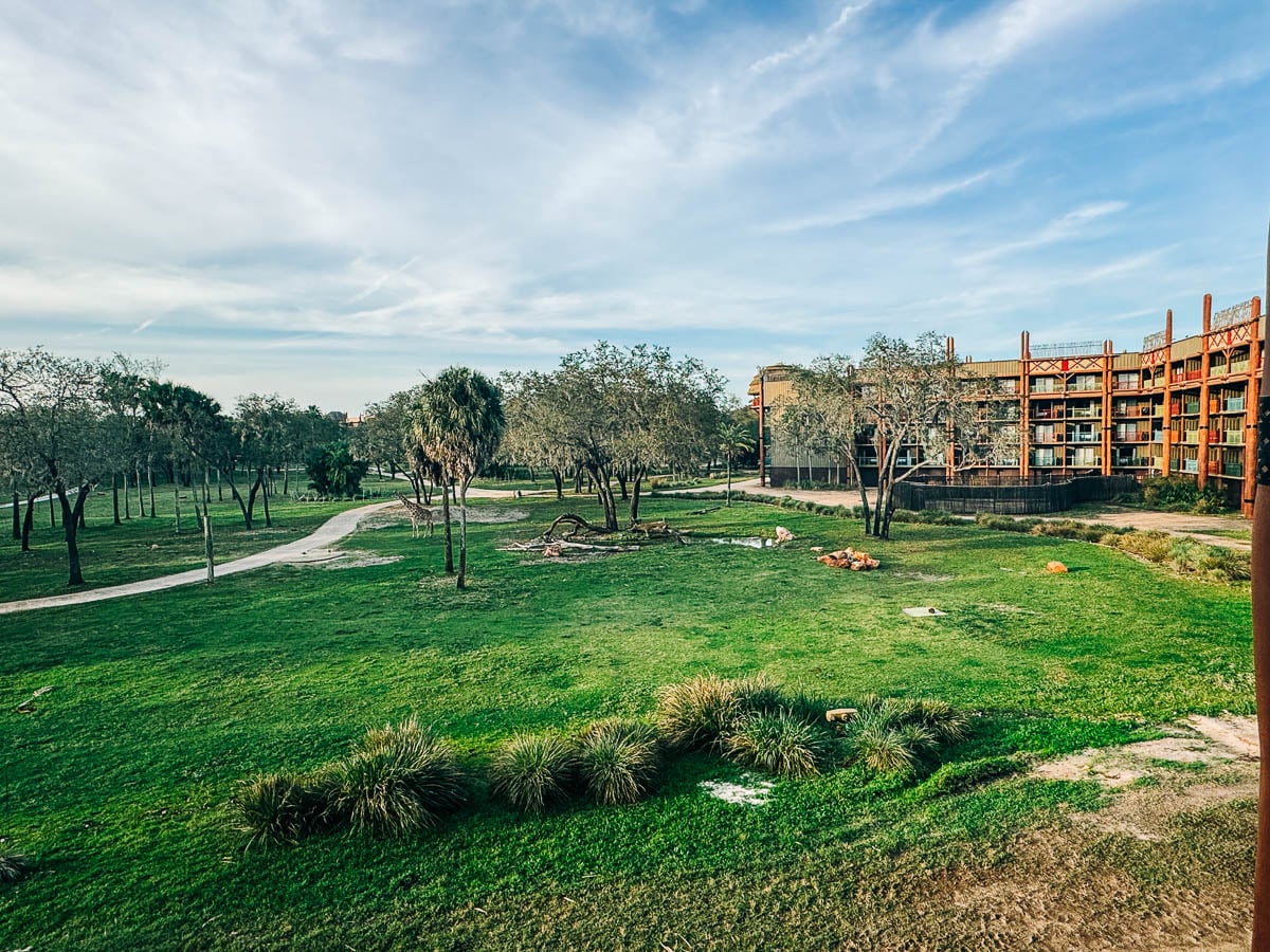 the view from our savanna view room at Animal Kingdom Lodge