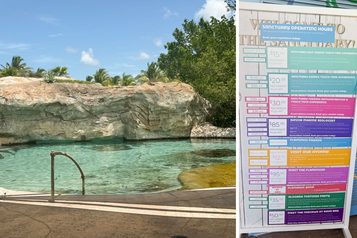 Baha Mar marine sanctuary with touch tanks