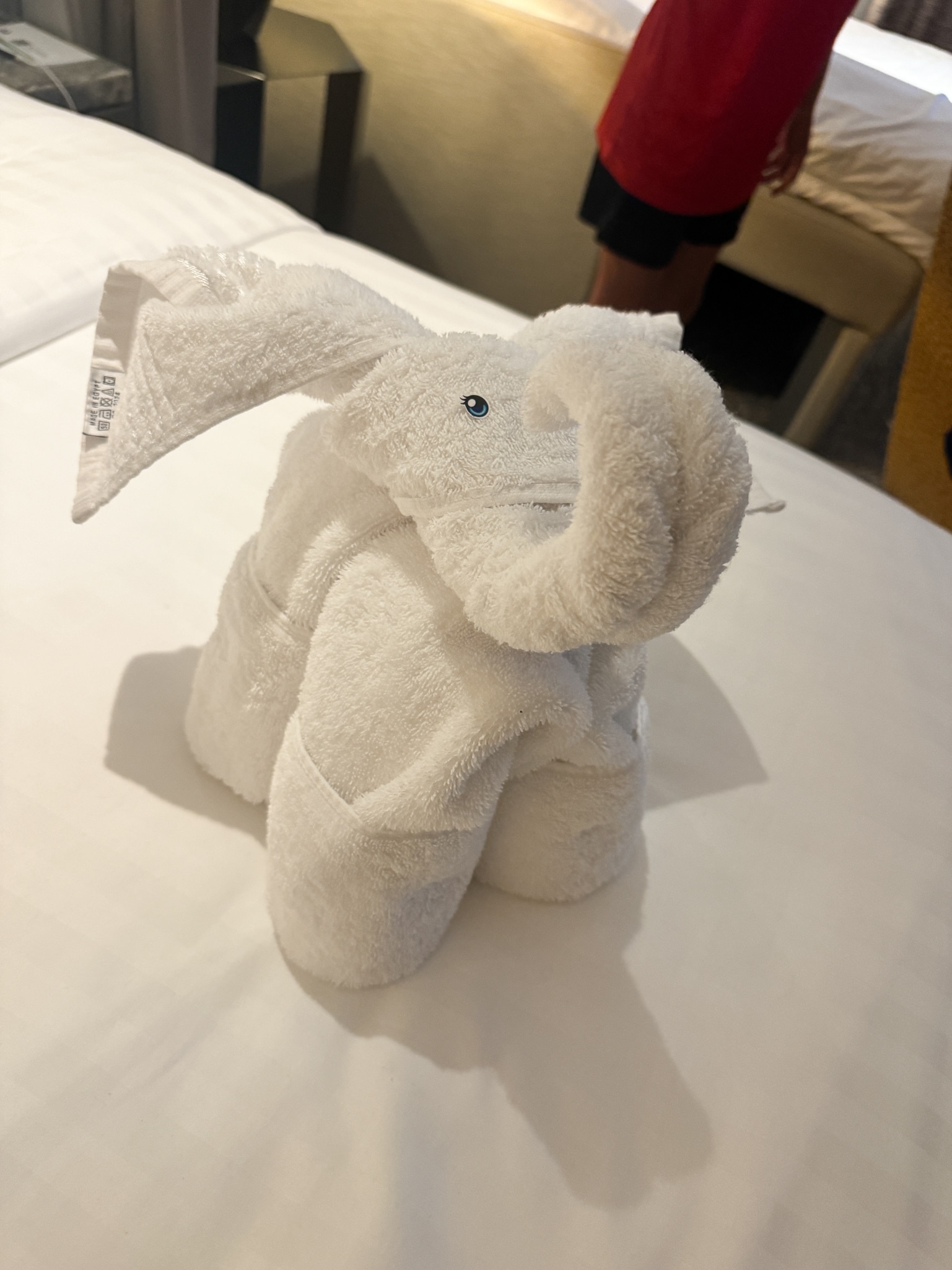 towel animal elephant
