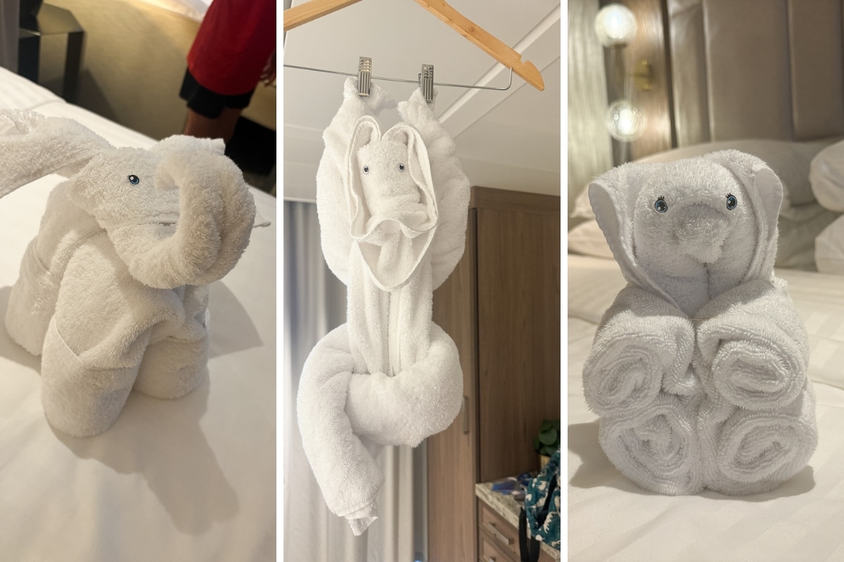 some towel animals from our cabin steward
