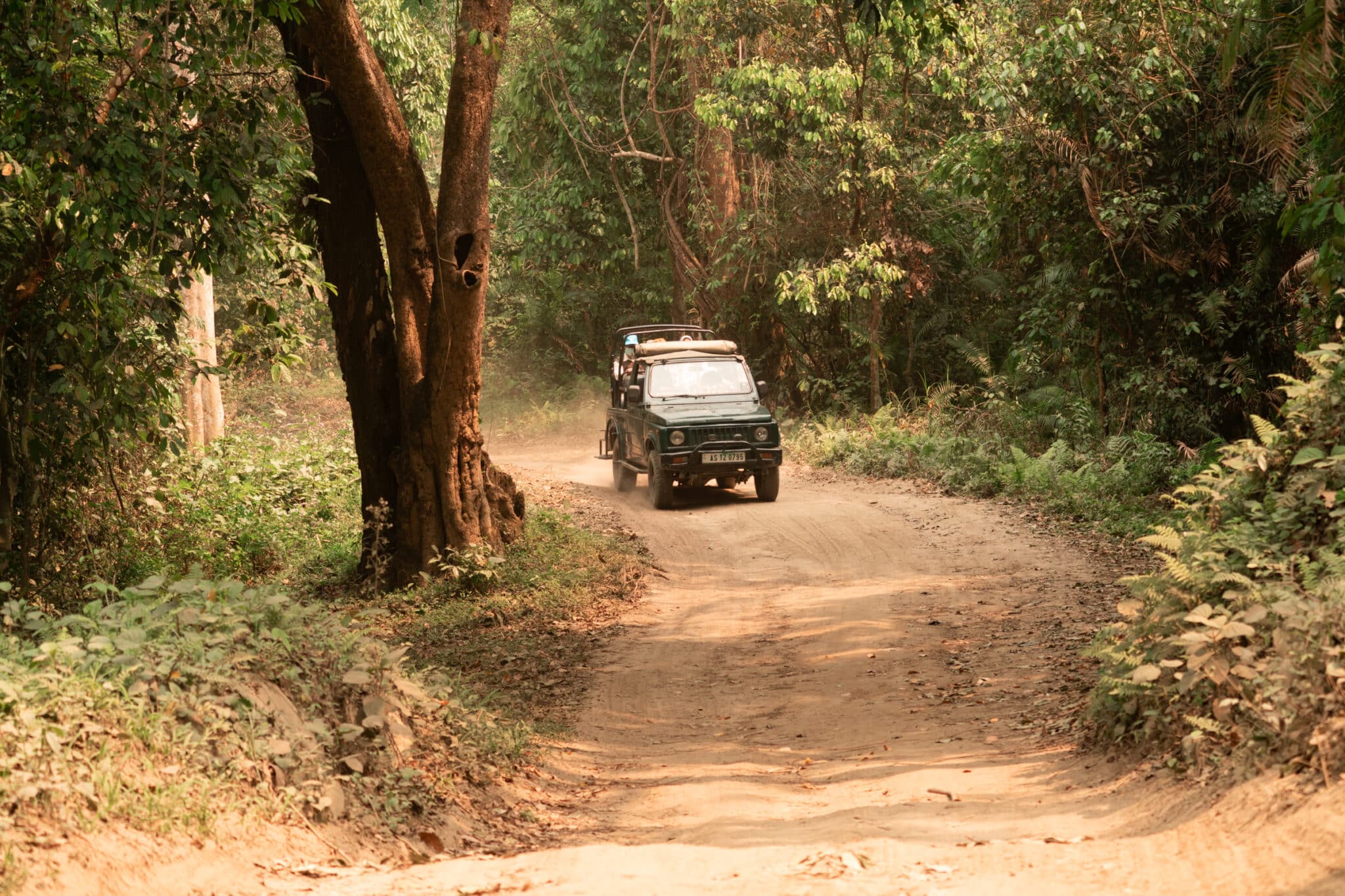 safari jeep on the dirt road in Kaziranga National Park