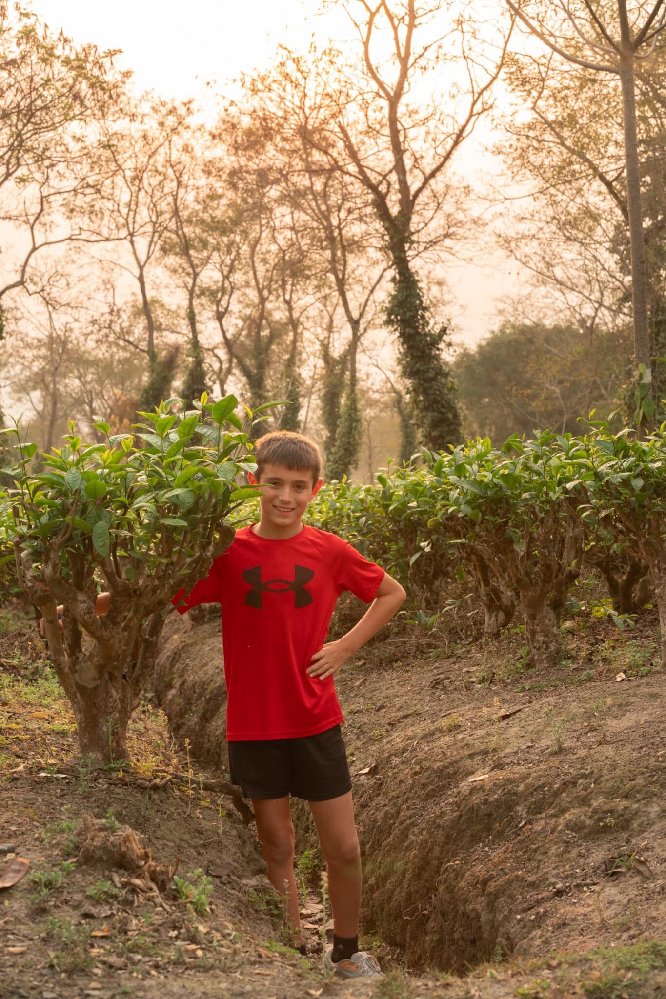 my son at Hathikuli tea estate