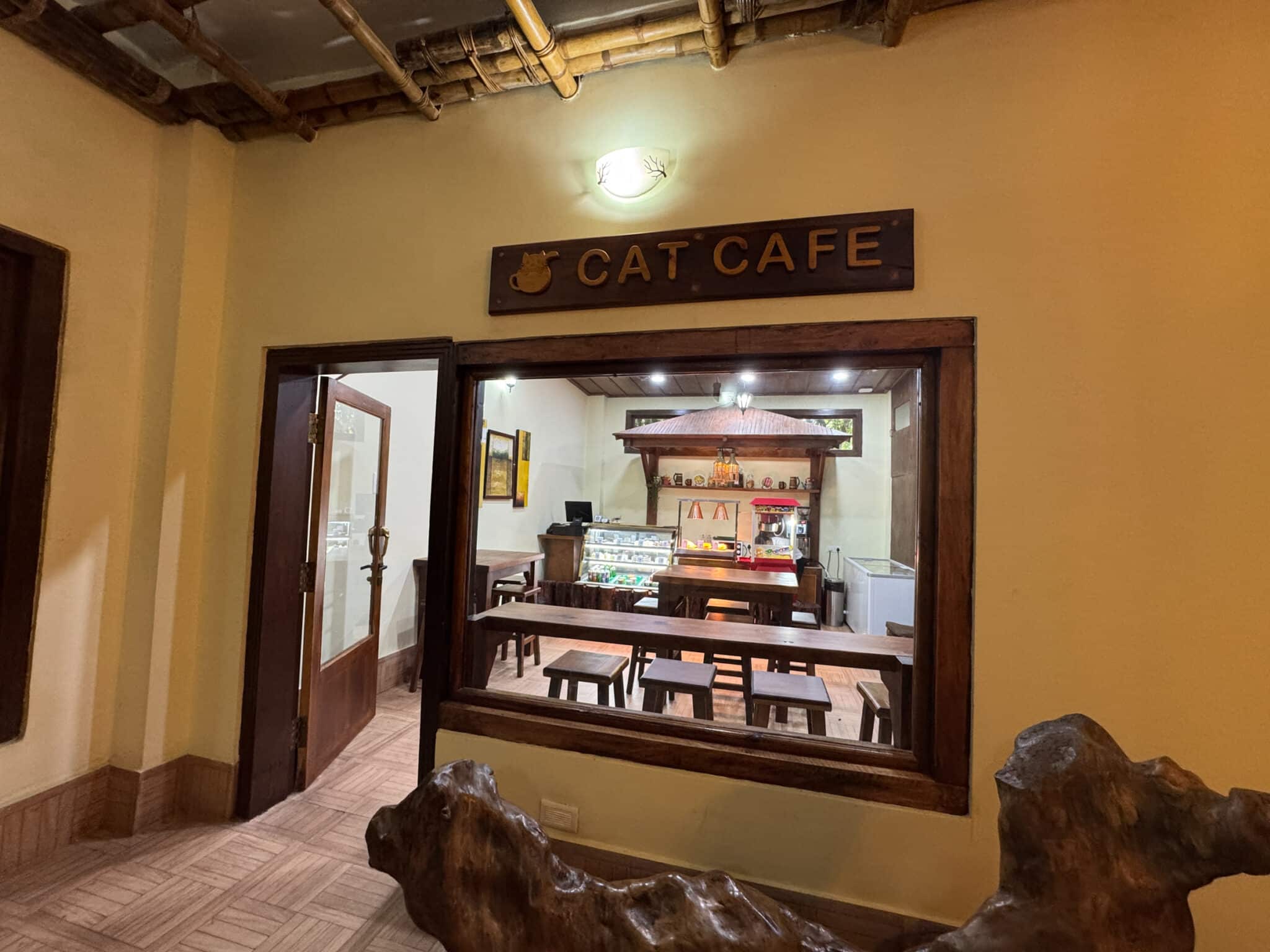 Cat Cafe at Hotel Borgos