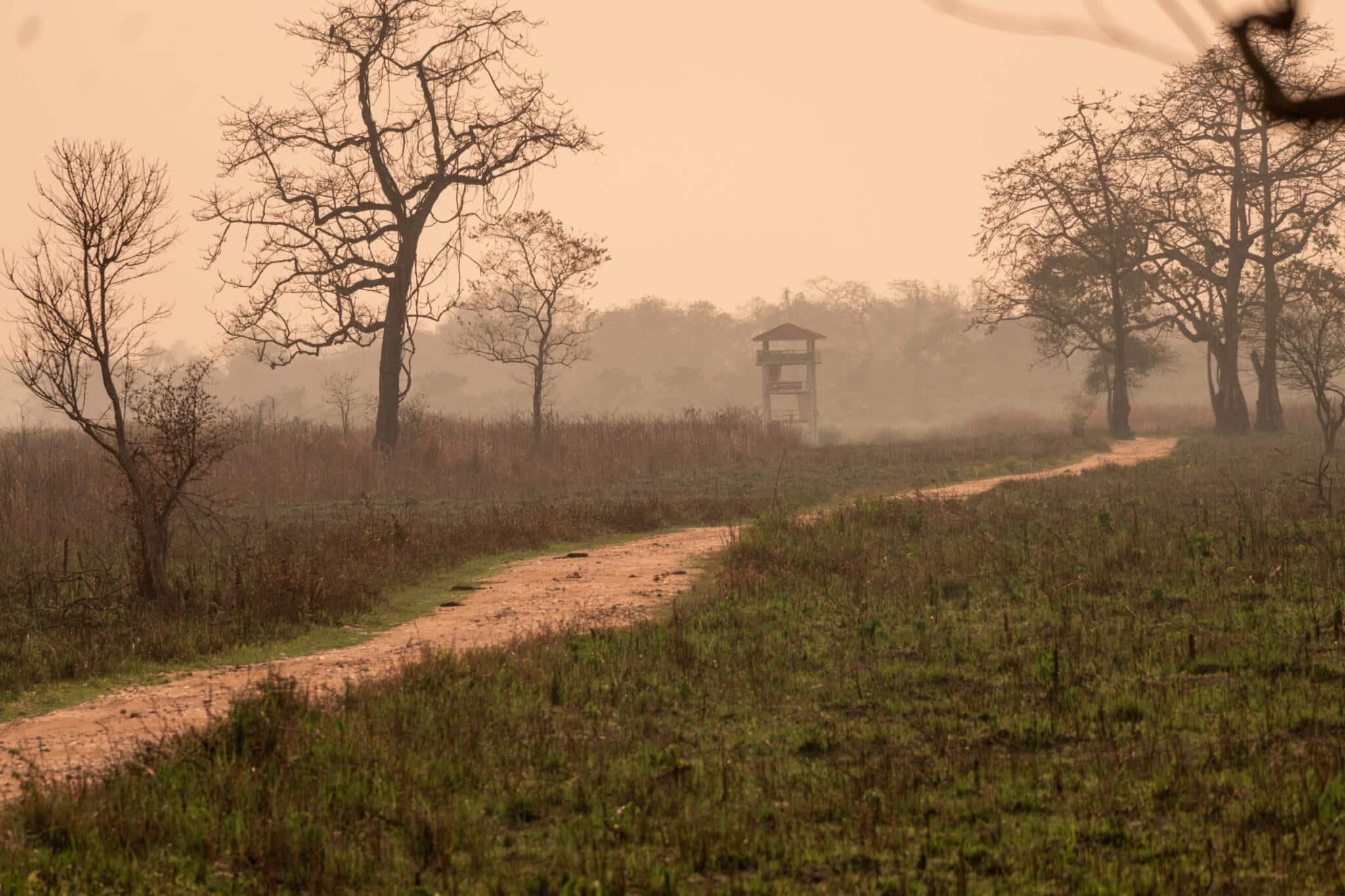 dirt road through the Kohora range in Kaziranga National Park