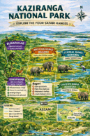 infographic showing the four ranges of Kaziranga National Park
