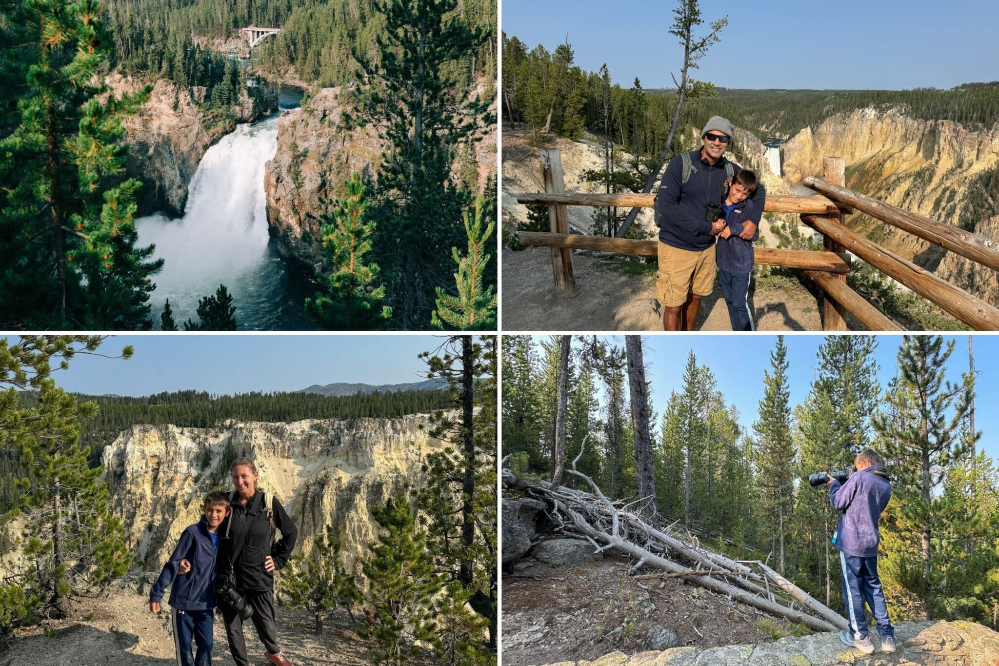 collage of pictures from the South Rim trail at Yellowstone