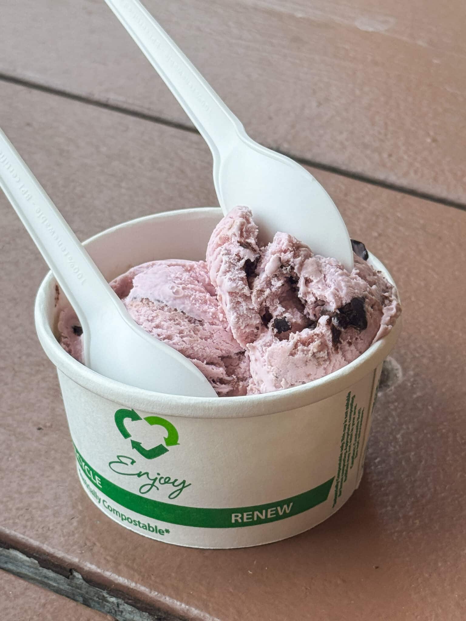 huckleberry ice cream