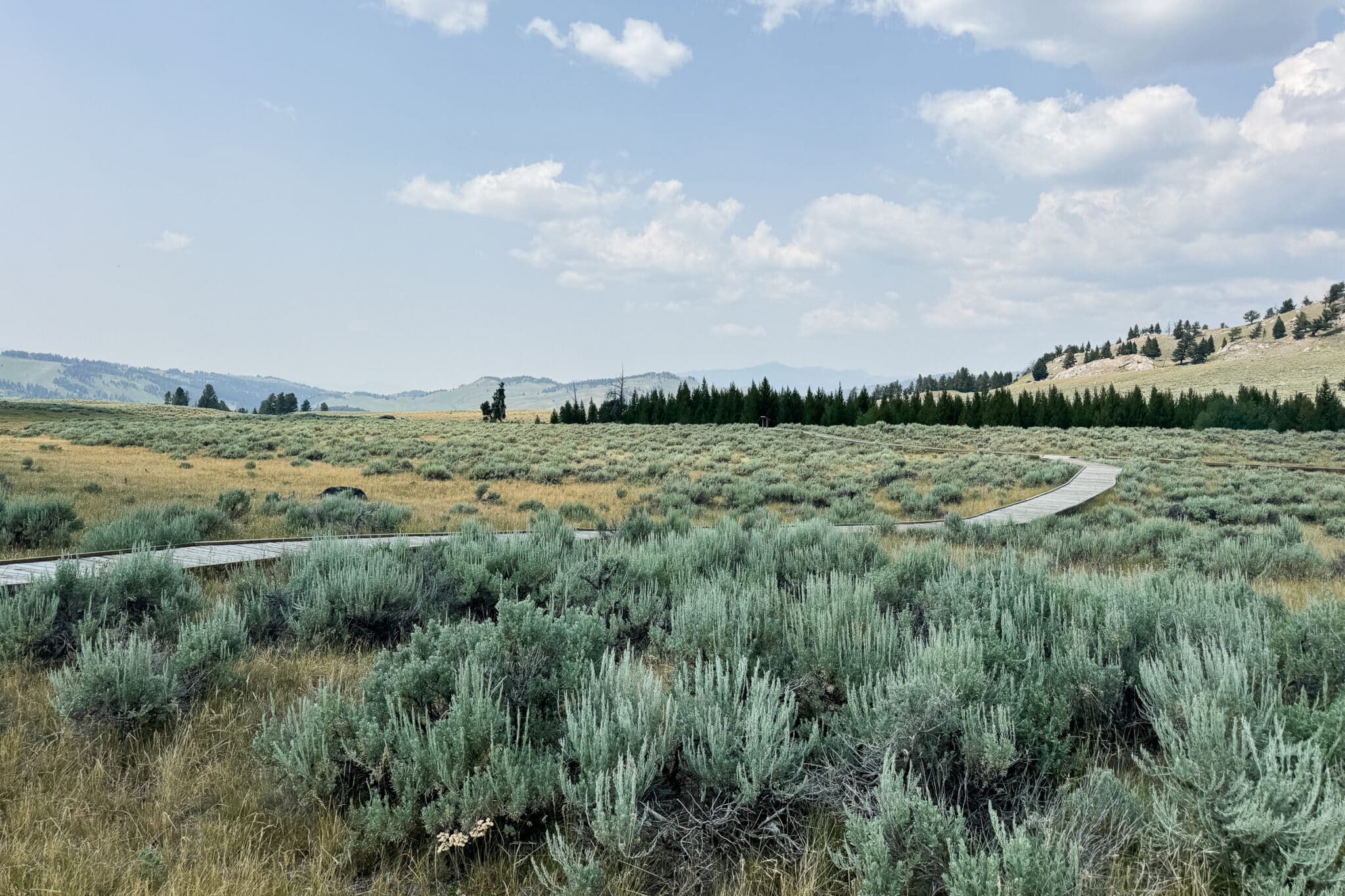 boardwalk at Forces of the Northern Range Trail