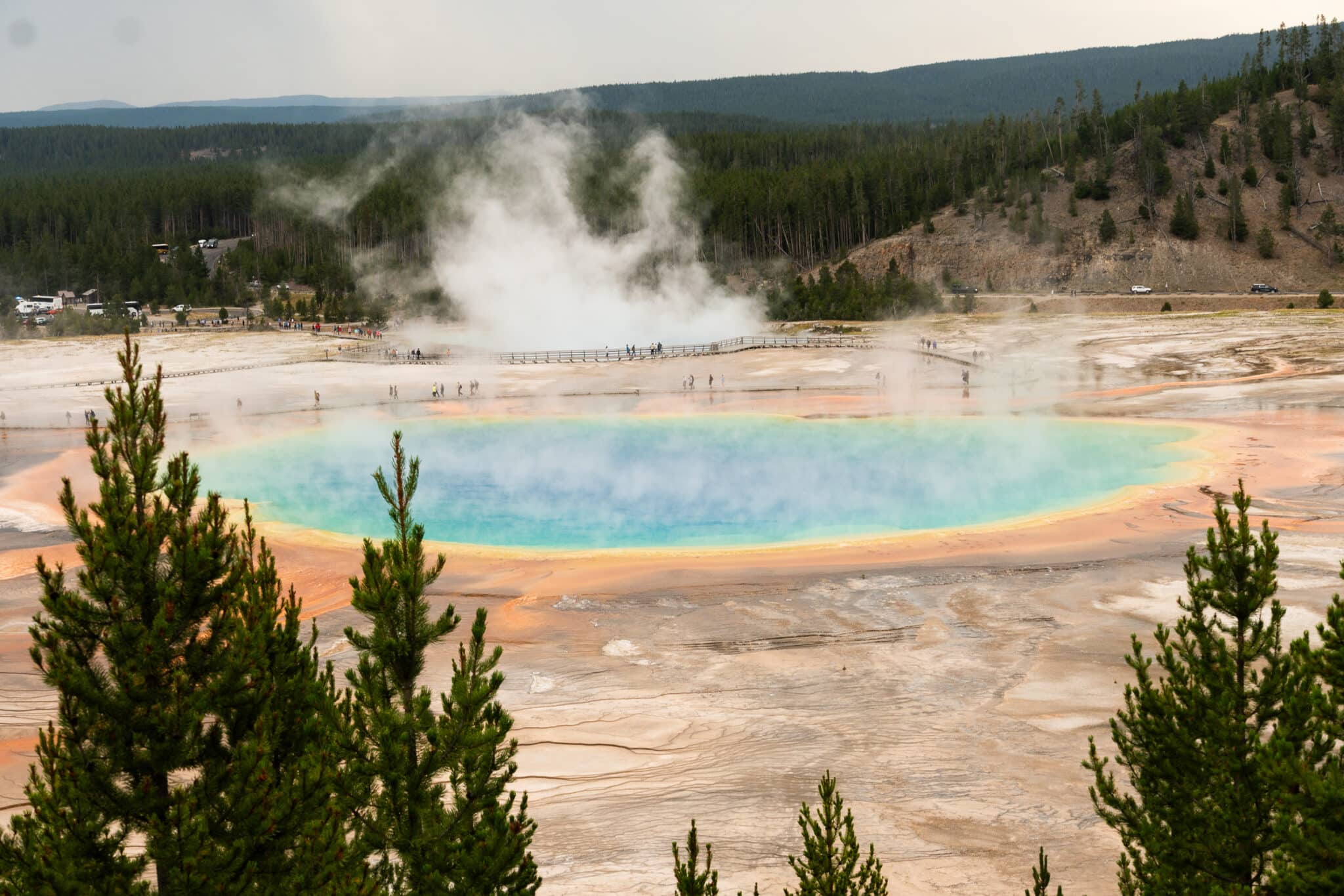 view of Grand Prismatic from the overlook on Fairy Falls trail