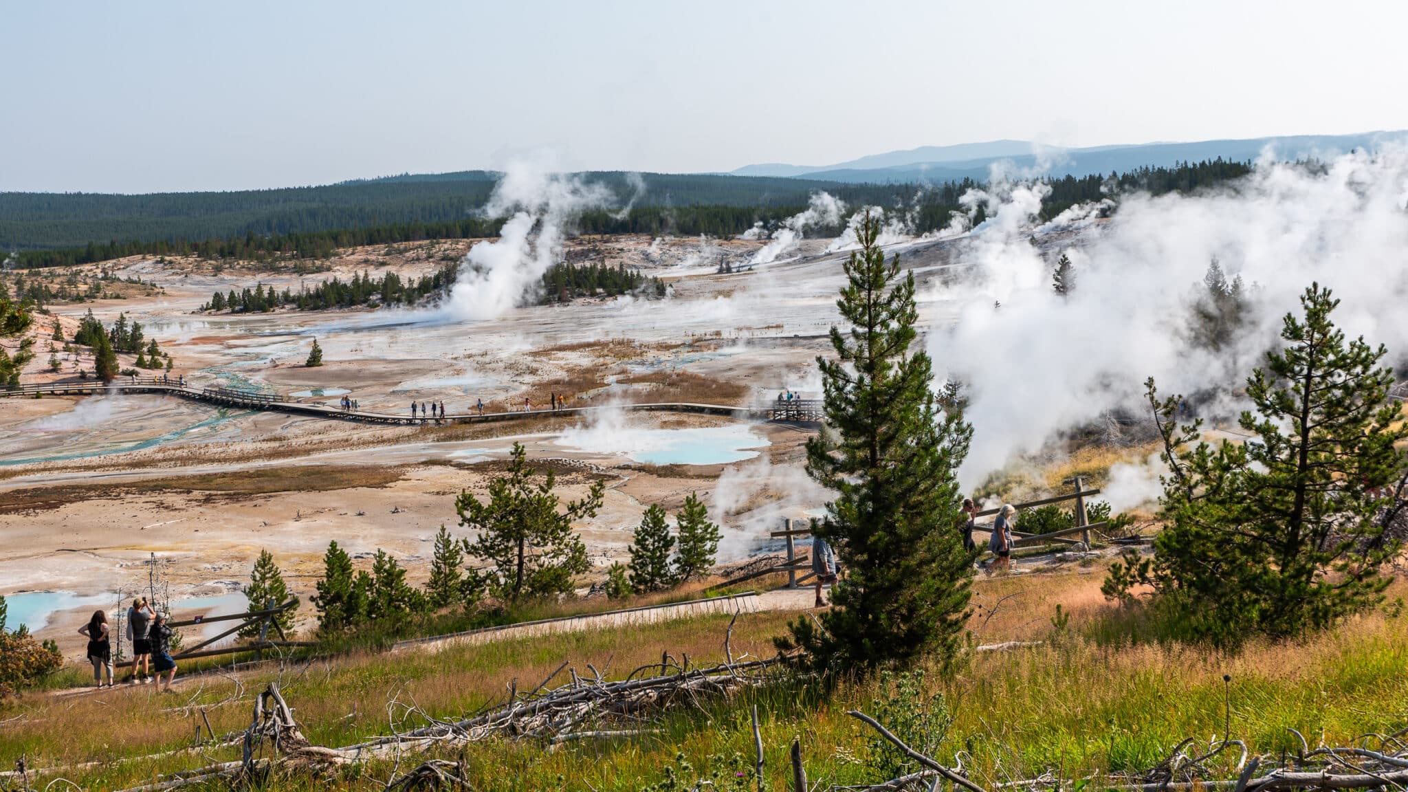 Norris Geyser Basin at Yelowstone National Park