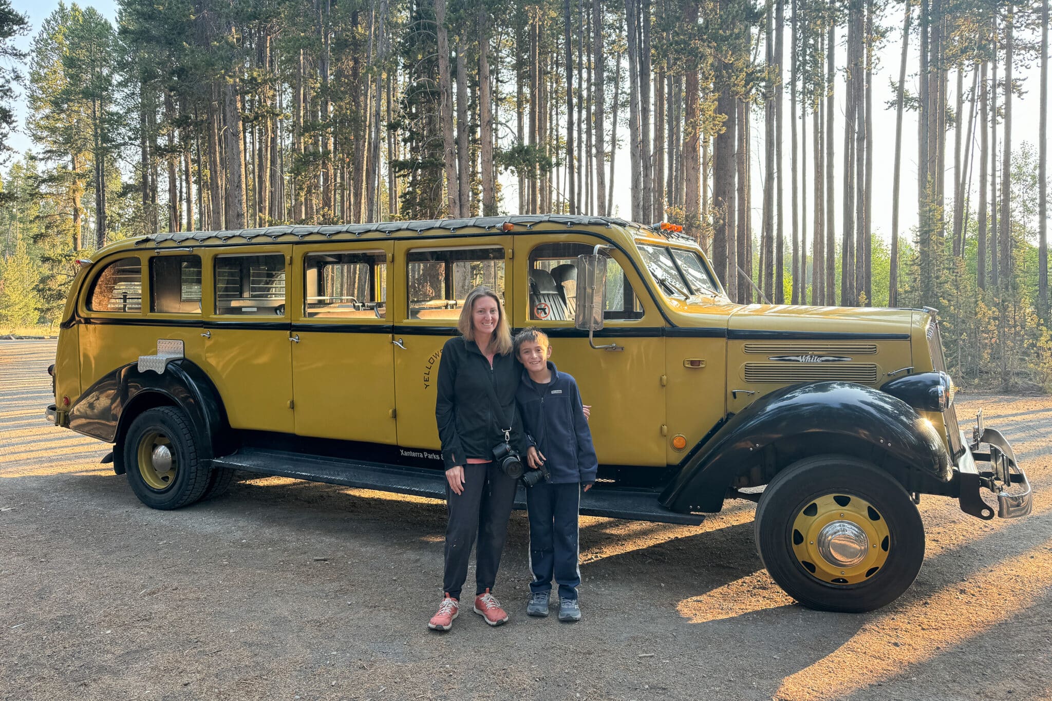 convertible buses for the park tours