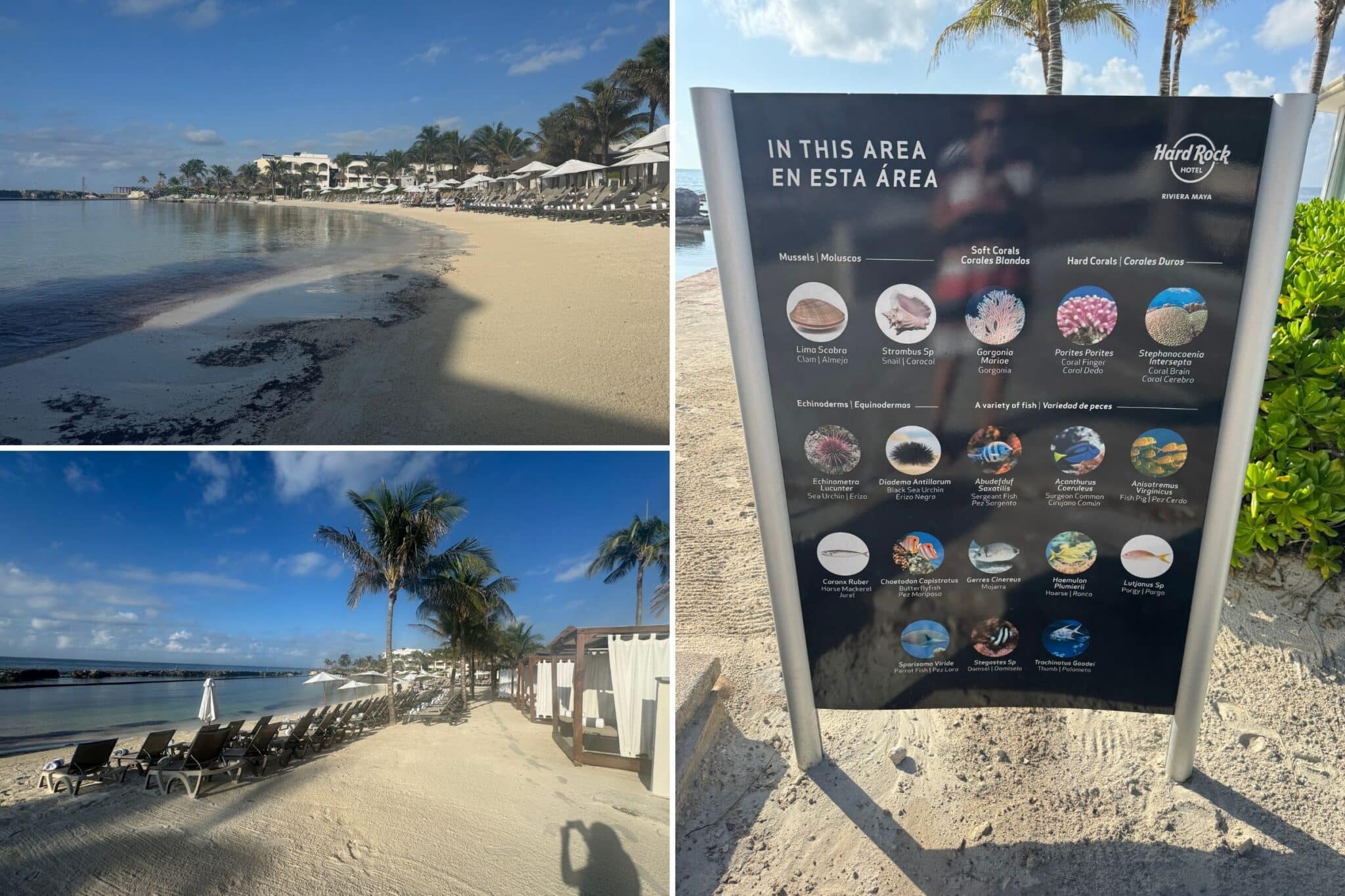 lagoon areas at hard rock riviera maya