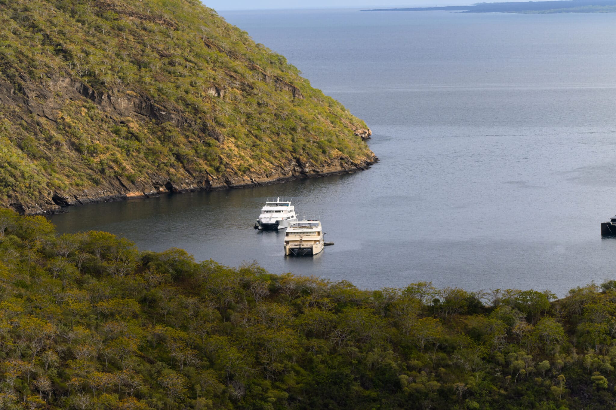 ecogalaxy ship at tagus cove in the galapagos