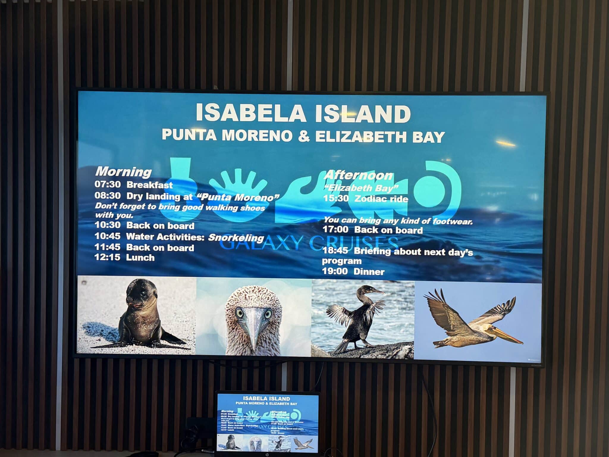 our agenda for punta moreno and Elizabeth bay