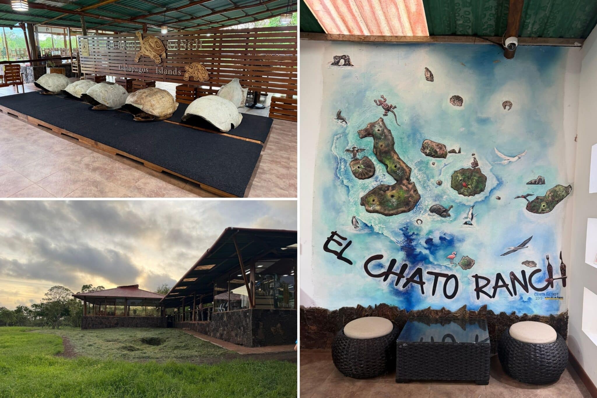 the cafe at el chato ranch in galapagos