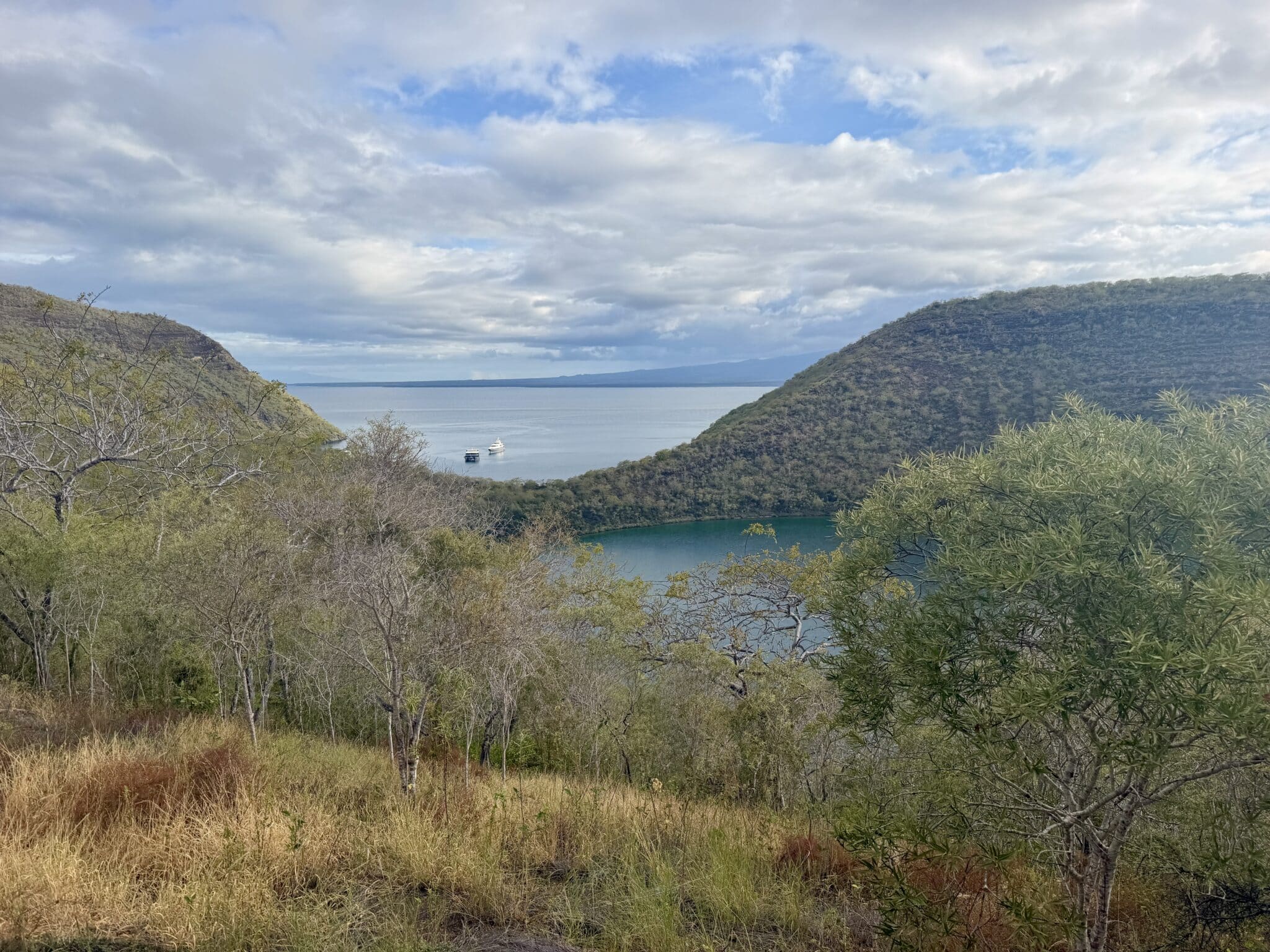 view from the mountain top at tagus cove in galapagos