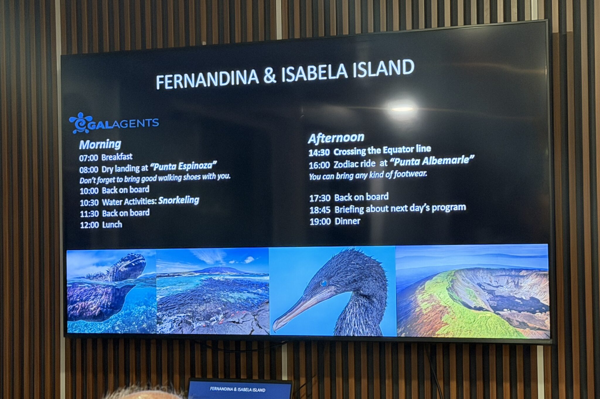 our itinerary for espinosa point and albermarle point in galapagos