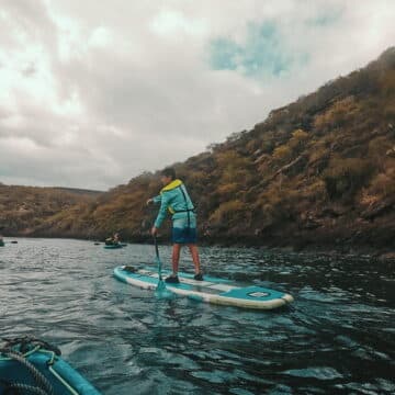 my son paddleboarding at tagus cove in galapagos