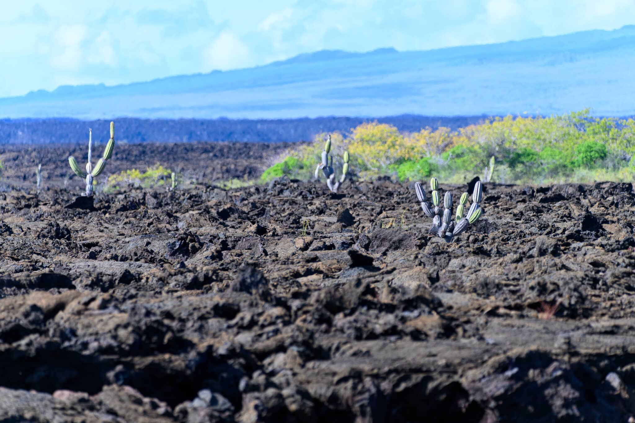 landscape at punta moreno in galapagos