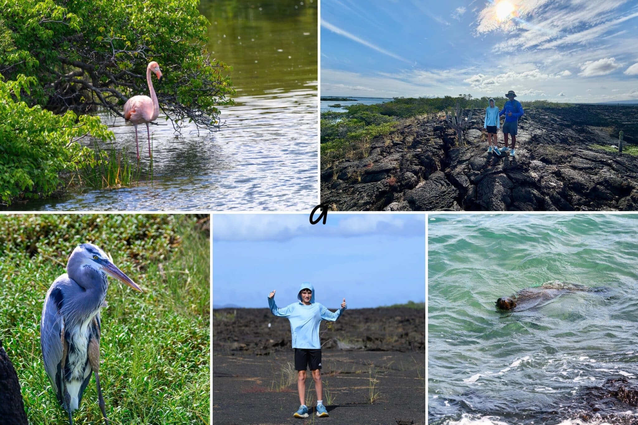 hiking at punta moreno in galapagos