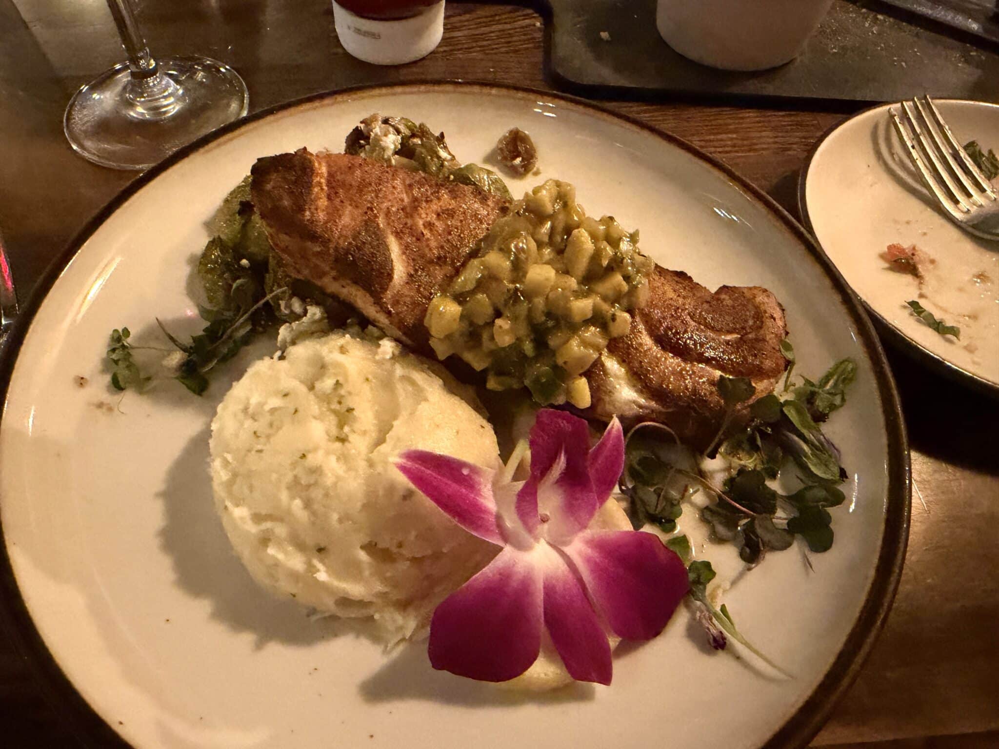 grouper at the porch on anna maria island