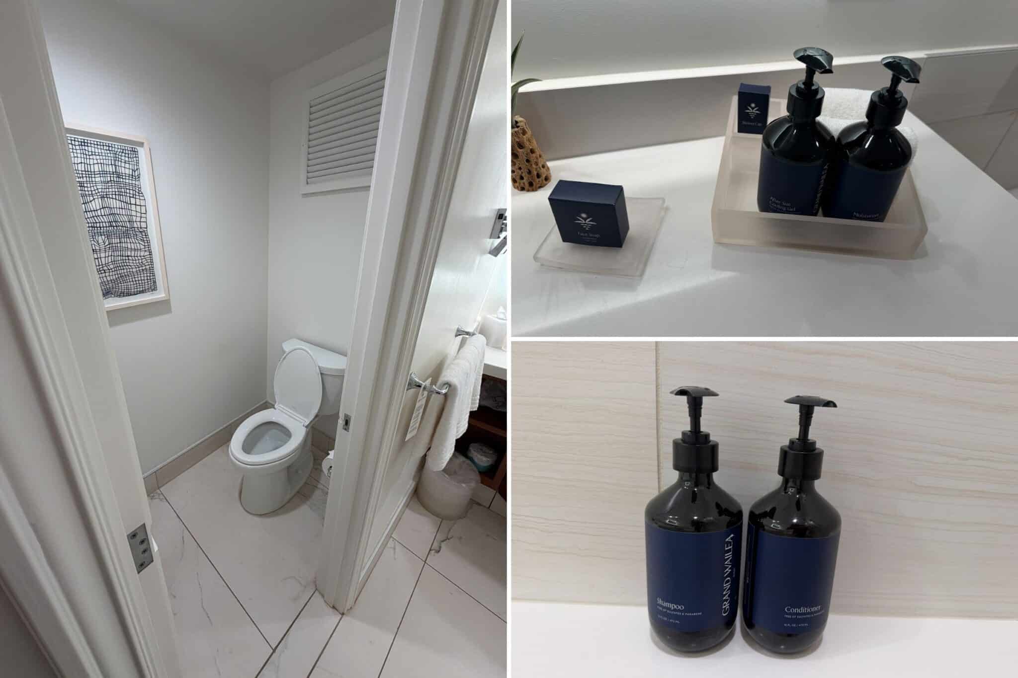 close ups of the water closet and toiletries in our bathroom at the grand wailea